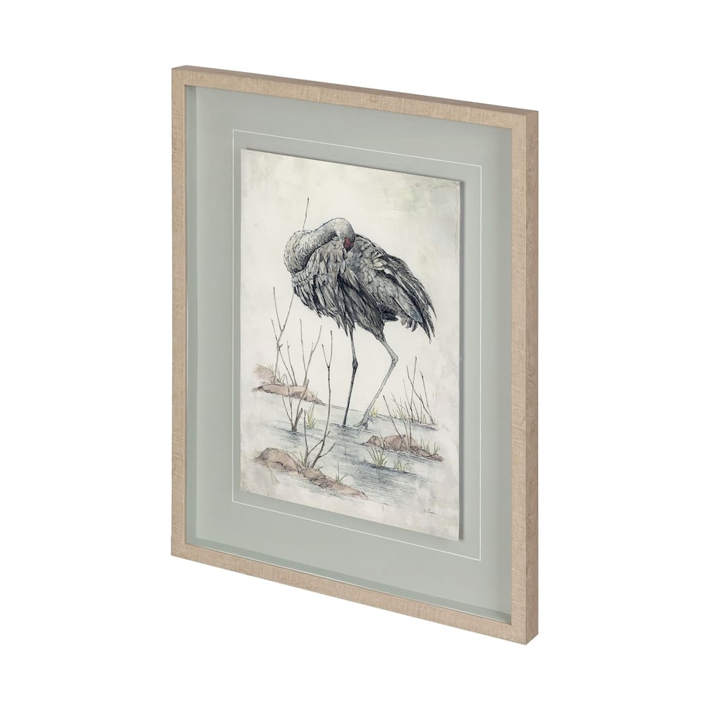 Sandhill Crane Framed Art Print