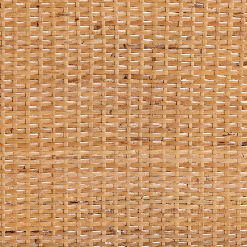 Noreen Peacock Fan Natural Rattan Cabinet - Handcrafted Rattan Pole Hutch with Woven Doors and Shelves, Boho Coastal Accent