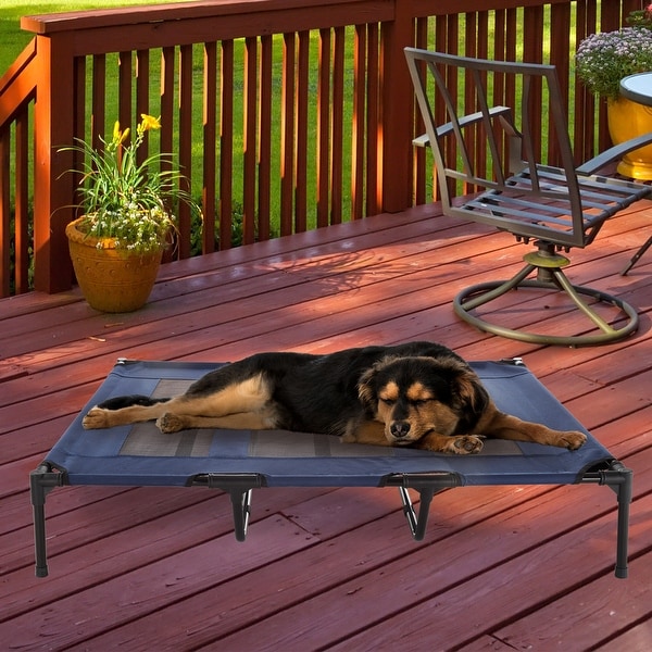 Bed bath discount beyond dog bed