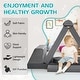 preview thumbnail 3 of 11, DoCred Kids Play Couch Sofa Set, Modular Toddler Sofa, Grey