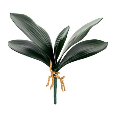 Set of 3 Artificial Phalaenopsis Orchid Leaf Plant Greenery Foliage Spray Branch with Roots 12in - 8" L x 12" W x 3.5" DP