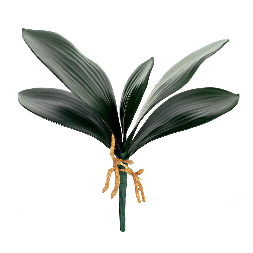 Set of 3 Artificial Phalaenopsis Orchid Leaf Plant Greenery Foliage Spray Branch with Roots 12in - 8" L x 12" W x 3.5" DP
