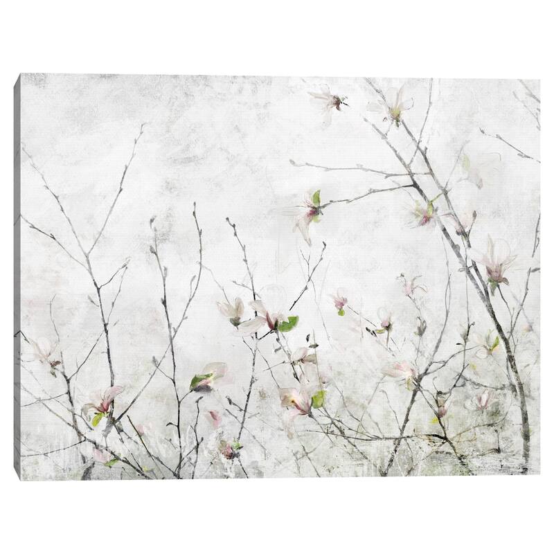 Magnolia Moment by Studio Arts Canvas Art Print