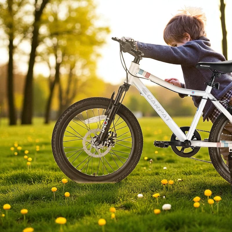 20 Inch Kids Mountain Bike for Boys & Girls Ages 6-12, 7-Speed Steel Frame with Front Suspension & Disc Brakes