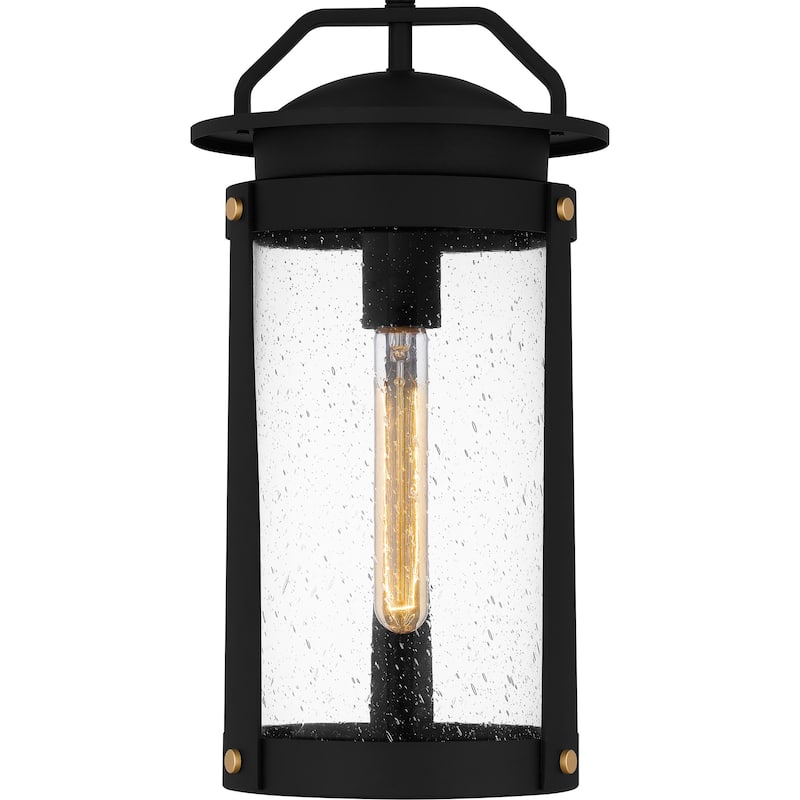Clifton 1-Light Earth Black Outdoor Hanging Lantern