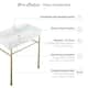 Claire Ceramic Console Sink White Basin Gold Legs