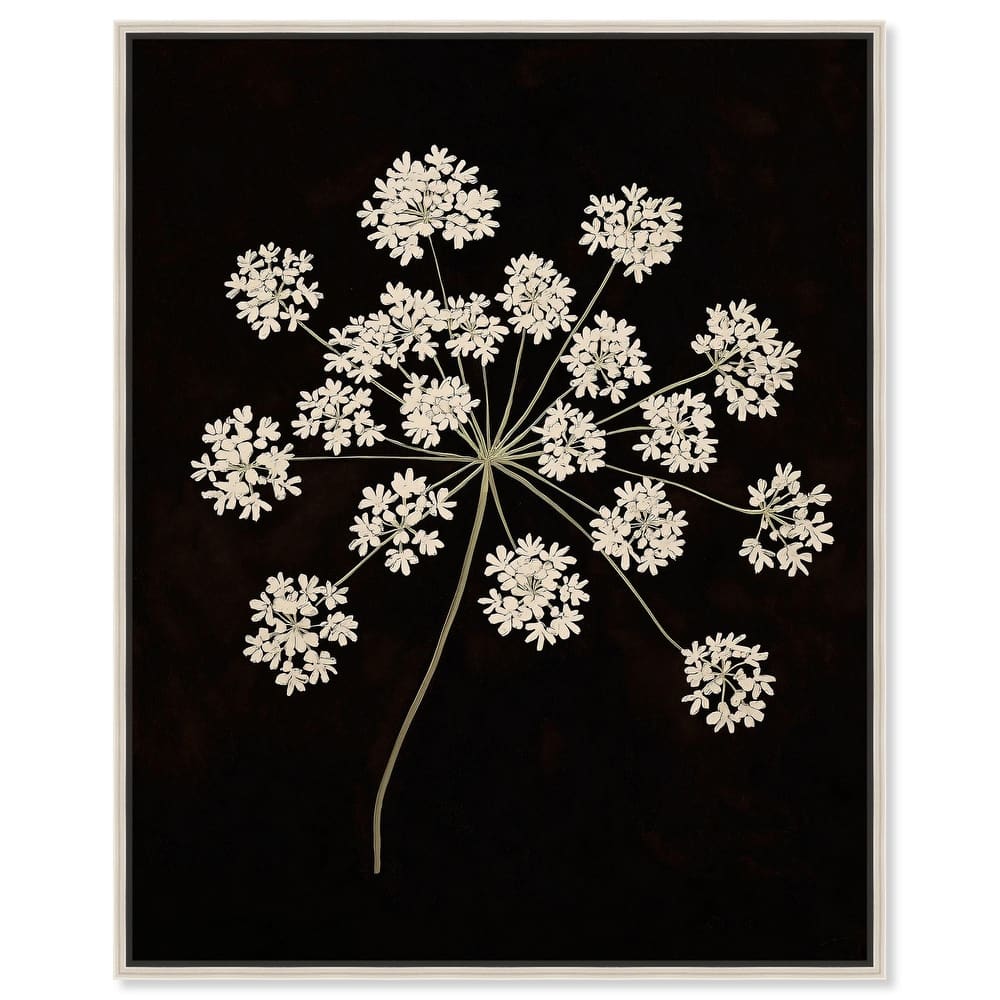 Umbel of Light II Canvas by Art Remedy