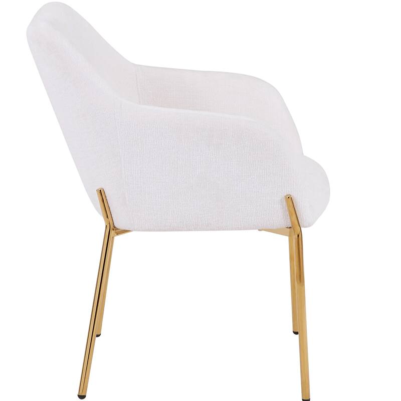 Zaire Upholstered Dining Chair in Velvet/Leather/Boucle with Gold Chrome Iron Set of 2