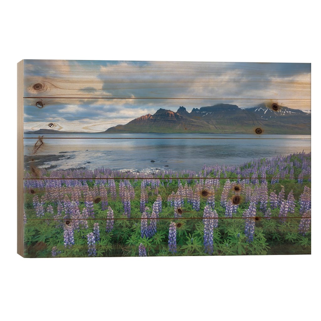 Nootka Lupines I, Stodvarfjordur Fjord, Austurland, Iceland Print On Wood by Gareth McCormack - Multi-Color