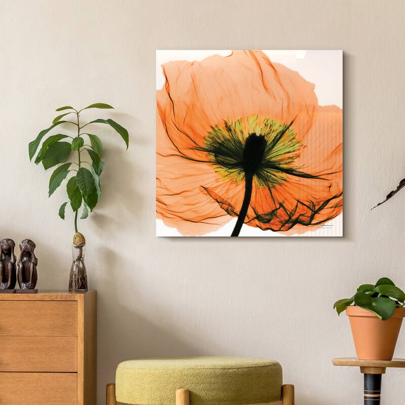 "Poppy Orange" Frameless Free Floating Tempered Glass Panel Graphic Wall Art