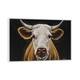 iCanvas "Cow 'Tank' Black Background II" by Hippie Hound Studios Framed Canvas Print - White - 26x40