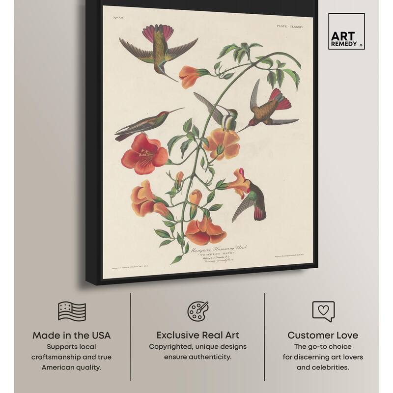 Humming Bird 1834 Canvas by Art Remedy