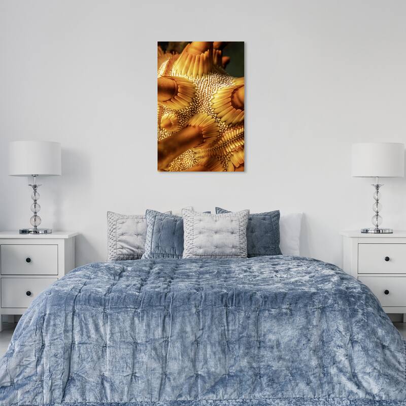 Wynwood Studio Canvas Animals David Fleetham - Rough Spined Urchin Orange and Amber Nautical & Coastal Wall Art Canvas Print - 36 x 24
