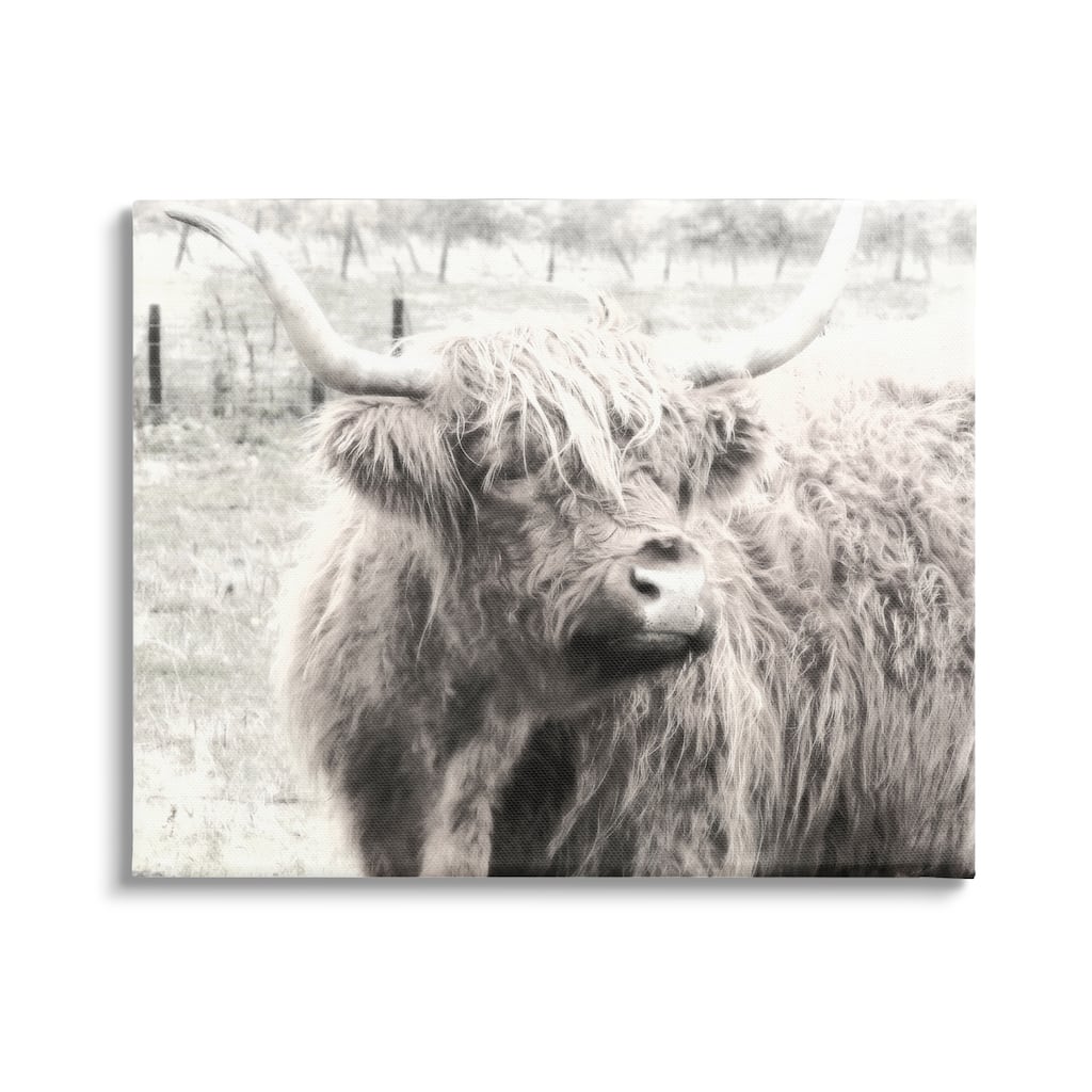 Stupell Rustic Farm Highland Cattle Cow Monochrome Photography Canvas Wall Art, Design by Graffitee Studios