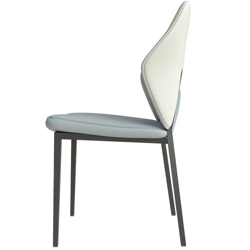Eclat 2-Piece Leather Dining Chair in Black Iron Modern Accent Kitchen Side Chair