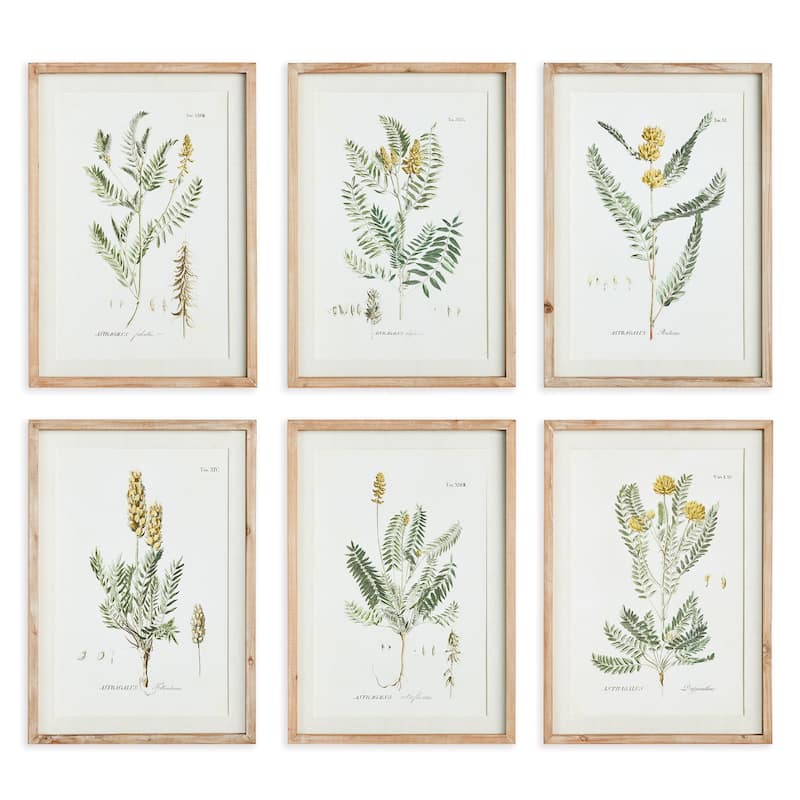 Mid-Summer Blooms Prints