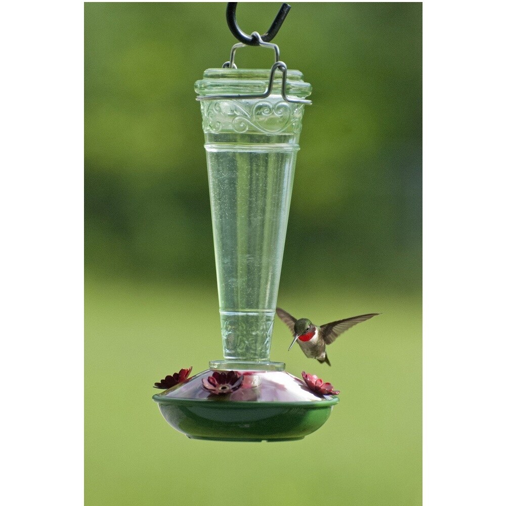 Shop 9 5 Clear And Green Torchiere Glass Hummingbird Feeder