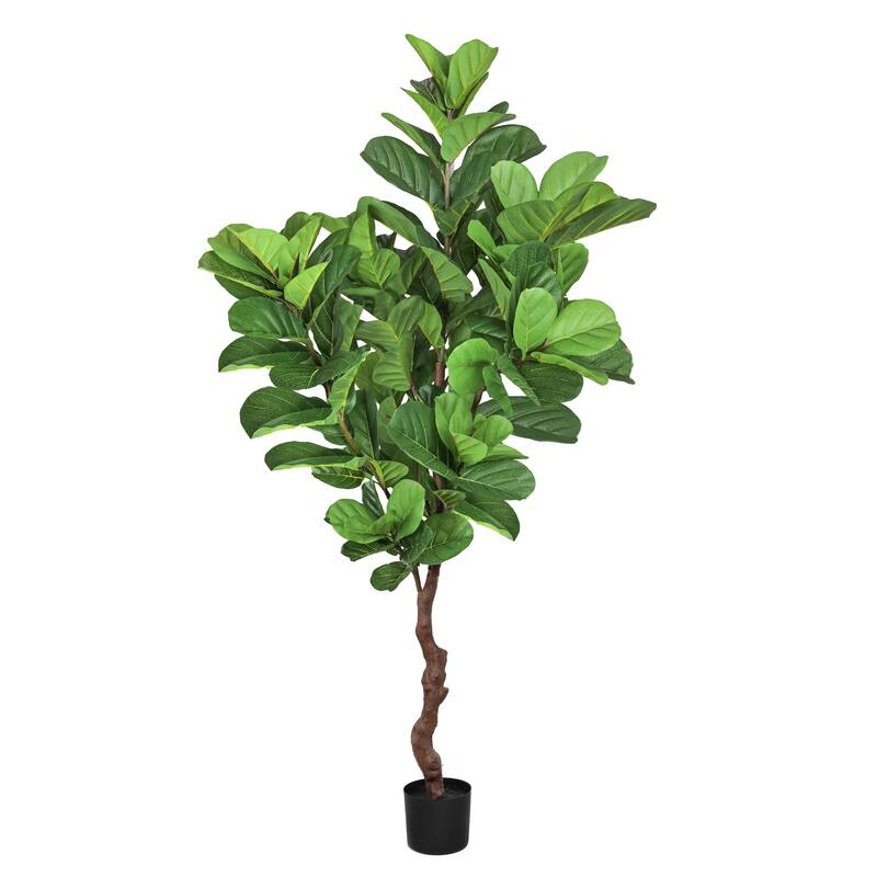 6ft Real Touch Artificial Fiddle Leaf Fig Tree in Black Pot - 72" H x 28" W x 28" DP