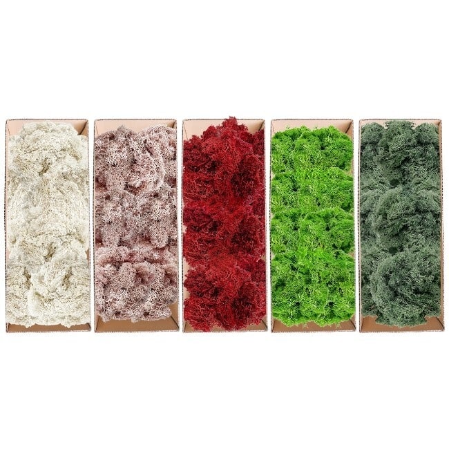 Preserved Reindeer Moss in Multiple Colors