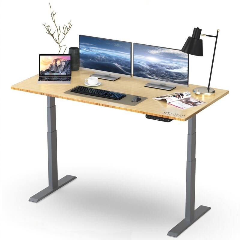 Rise Up Electric Standing Desk Dual Motor 48x30 solid bamboo desktop