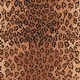 preview thumbnail 45 of 69, SAFAVIEH Handmade Chelsea Cayla Leopard French Country Wool Rug