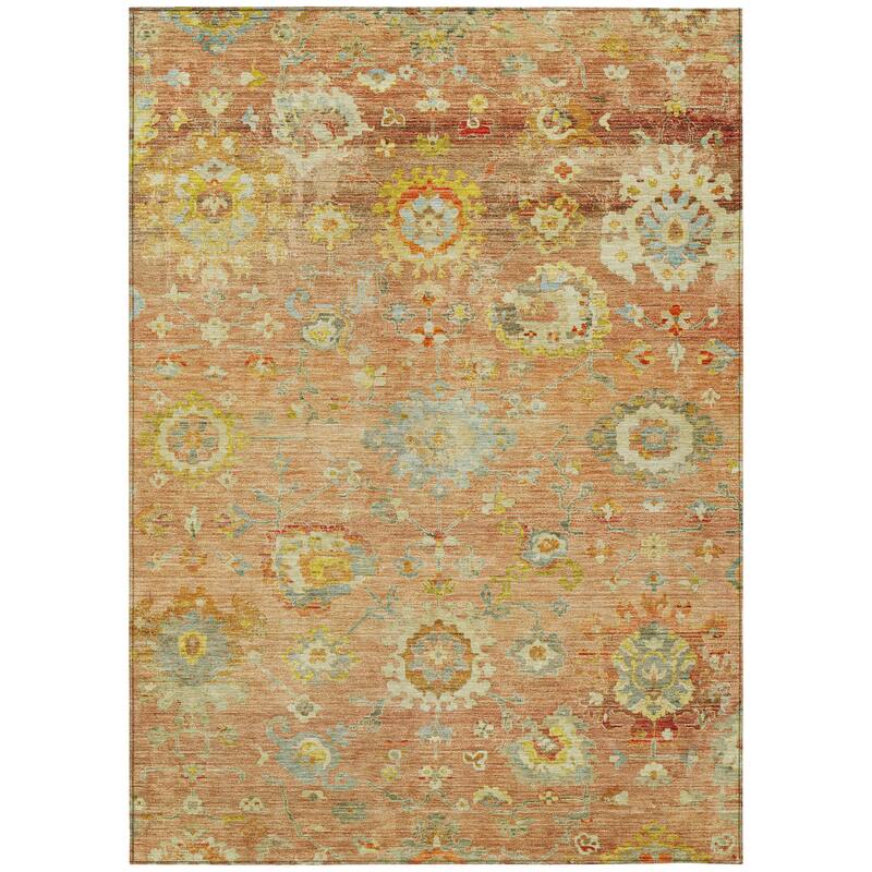 Machine Washable Indoor/ Outdoor Vintage Traditional Chantille Rug