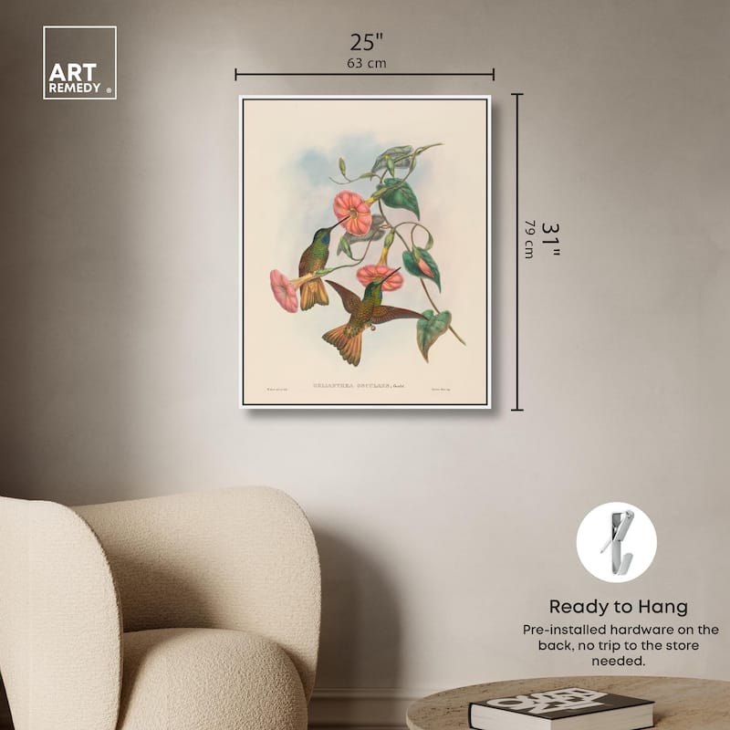 Gould's Hummingbirds Canvas by Art Remedy