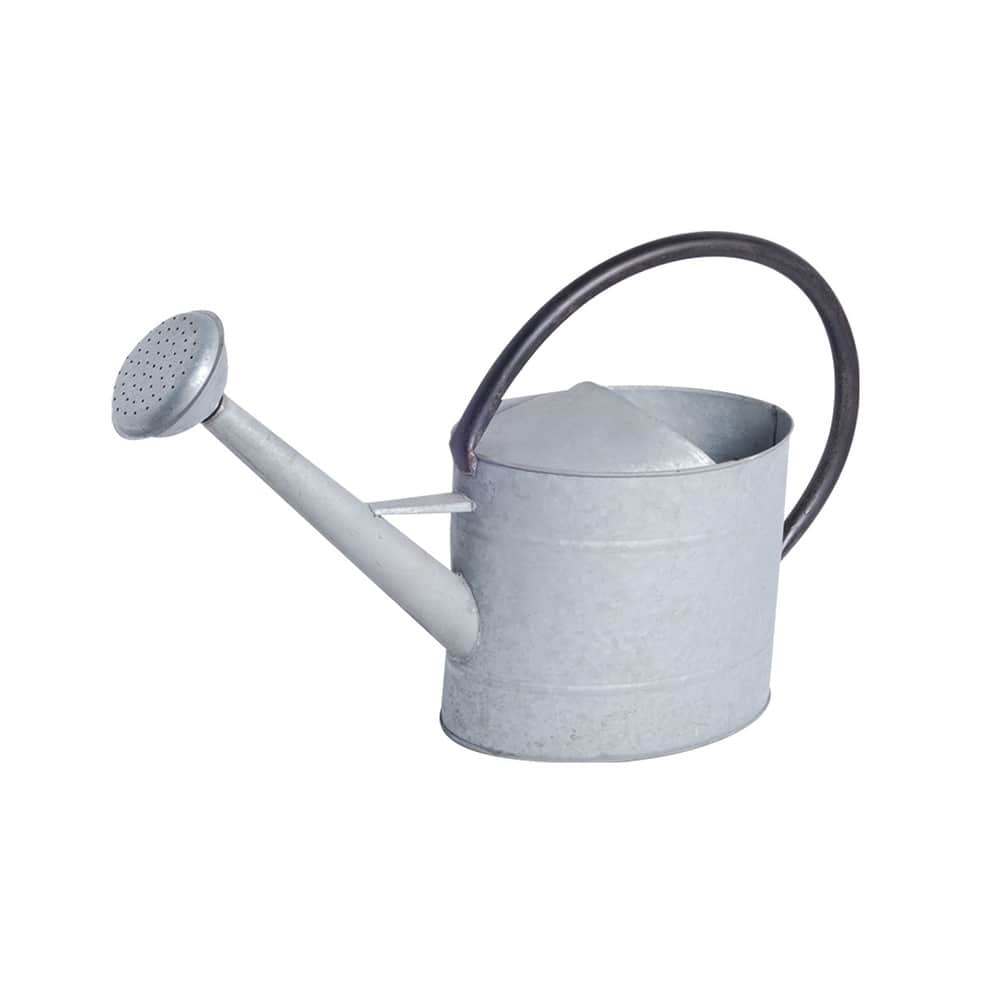 Oval Aged Zinc Watering Cans