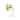 AFX LEOS0509MB Leo 9" Tall Bathroom Sconce with Frosted Glass Shade