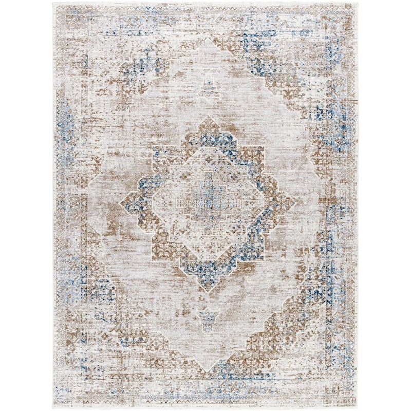 Noyes Traditional Medallion Area Rug