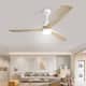 Option 60" Ceiling Fan with Light