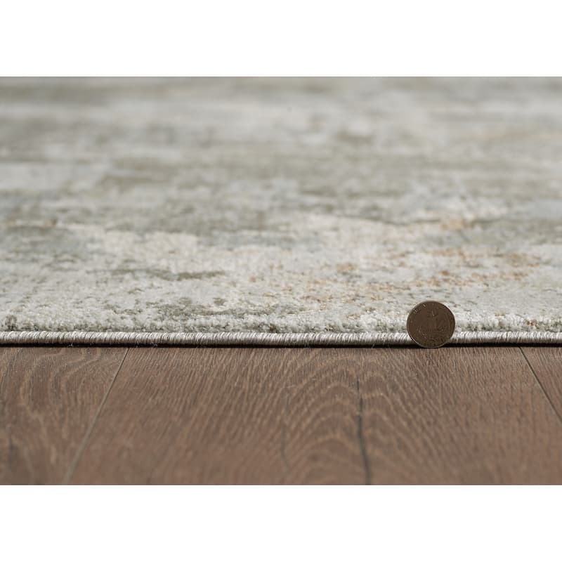 Domani Saige Modern In Natural Stone Area Rug