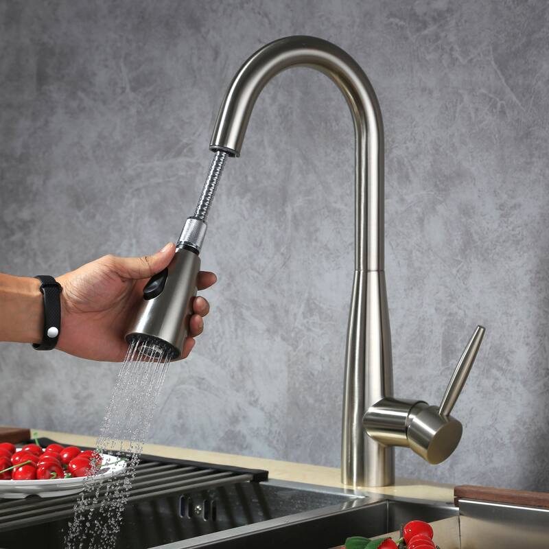 Dowell Series 8002/005 Single Handle Kitchen Faucet/Sprayer