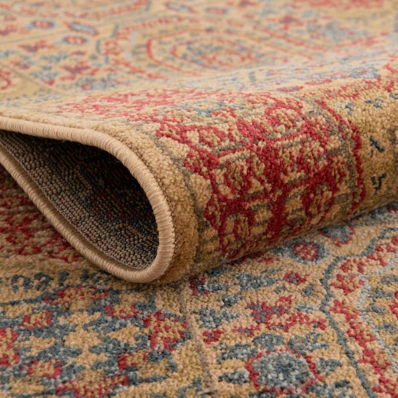 Traditional Cassia Collection Area Rug