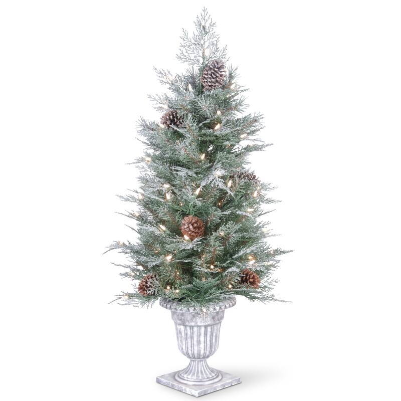 National Tree Company 4 ft. Frosted Mountain Spruce Entrance Tree with Clear Lights - 4 Foot