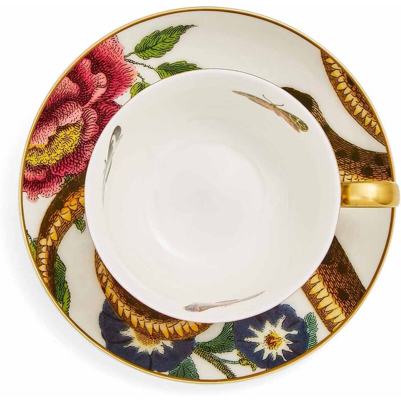 Spode Creatures of Curiosity Teacup and Saucer - 6.7 oz.