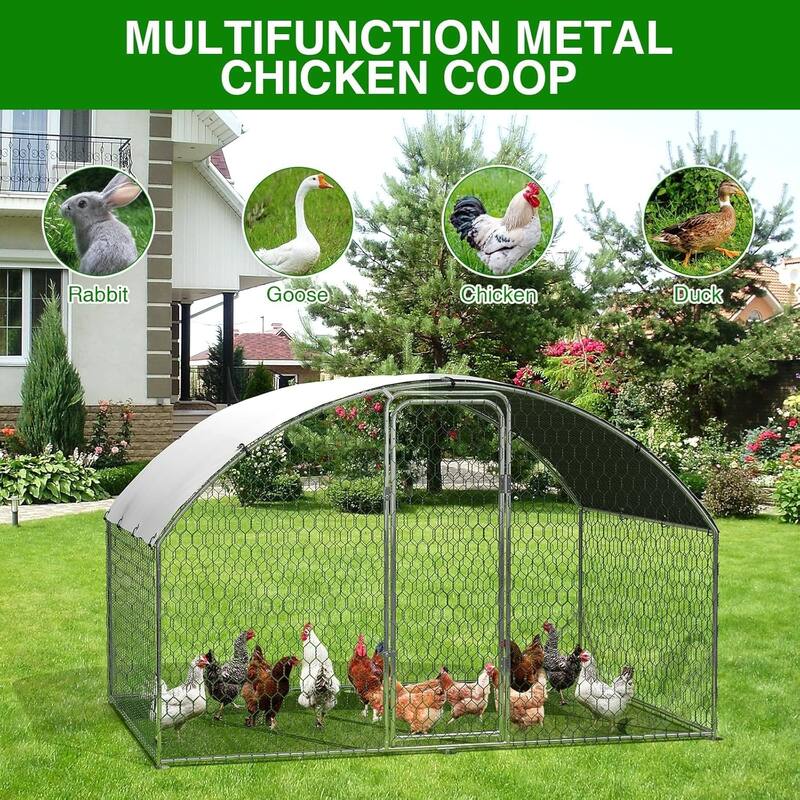 Large Walk-in Chicken Runs with Cover