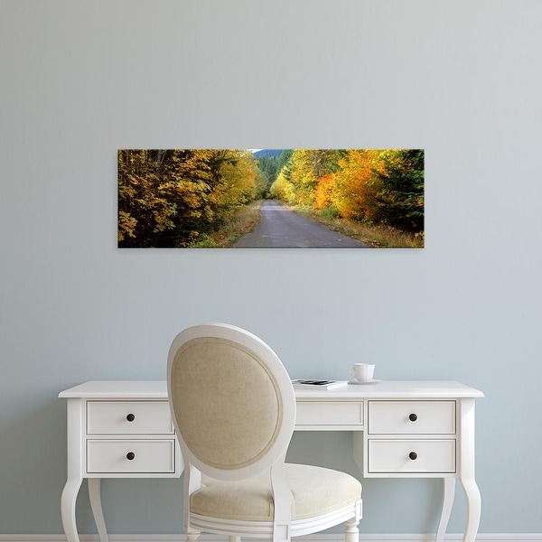 Easy Art Prints Panoramic Images's 'Autumn trees along road in Mt Hood National Forest, Oregon, USA' Canvas Art