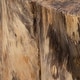 preview thumbnail 5 of 3, Uttermost Habitat Natural Accent Stool - 16"W x 20"H x 16"D