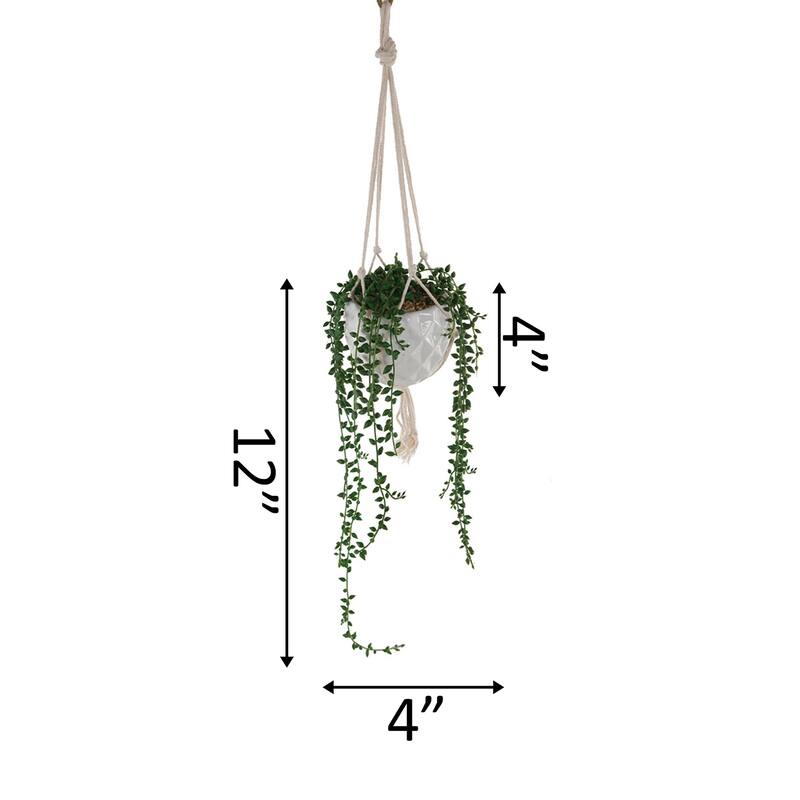 Artificial Plant STRING OF PEARLS MACRAME HANGING CERAMIC - ONE-SIZE