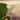Alpine Corporation Outdoor Mosaic Glass Birdbath Bowl with Metal Stand