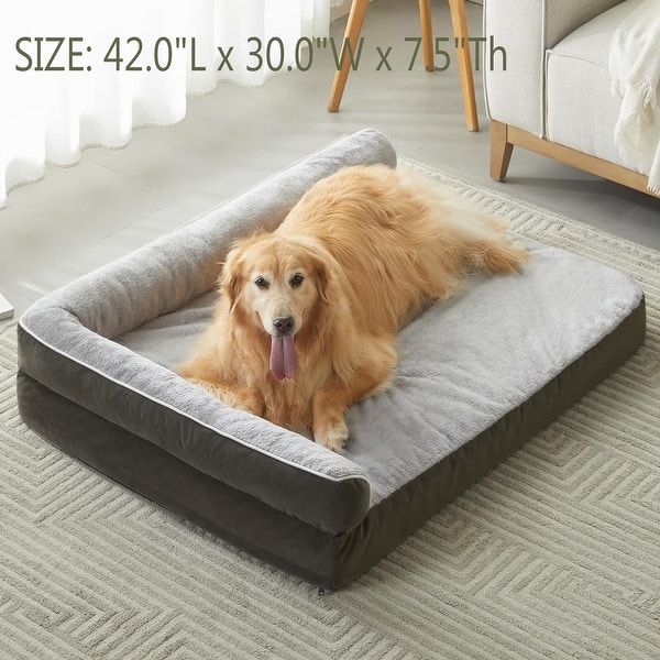 The Best Dog Bed Types for a 75-Pound Dog