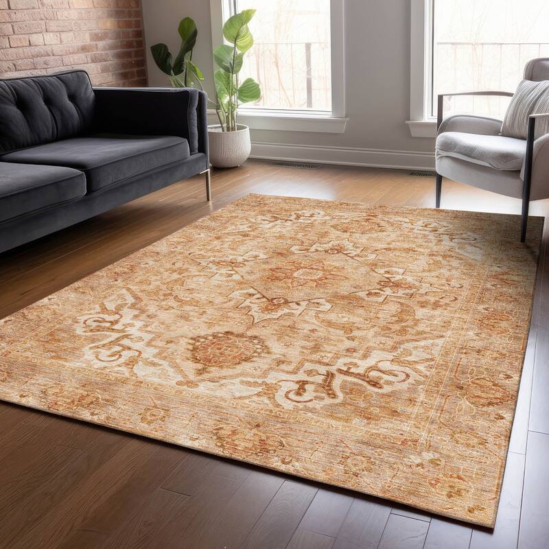 Machine Washable Indoor/Outdoor Traditional Vintage Chantille Rug