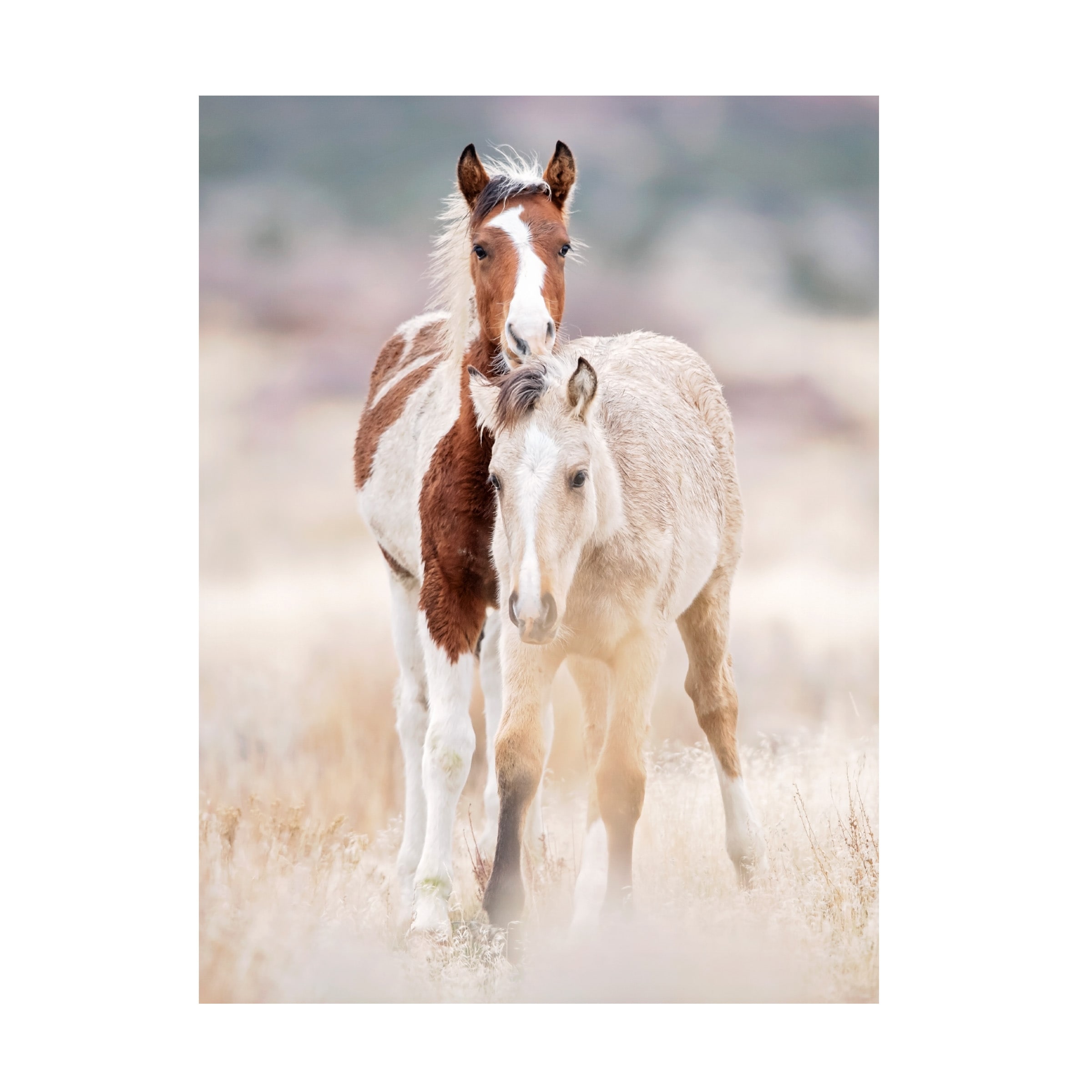 PHBurchett 'Collection of Horses X' Canvas Art
