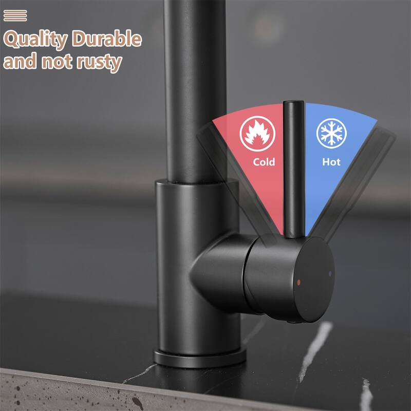 Kitchen Faucet with Pull Down Sprayer Single Handle