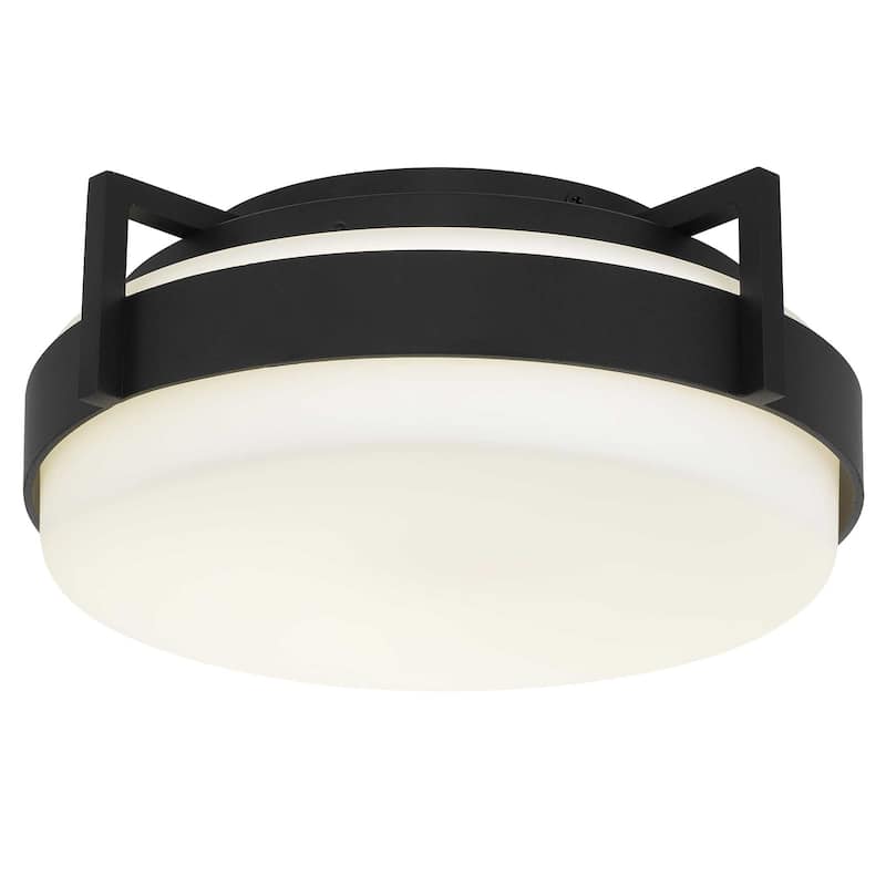 15 Inch Flush Mount LED Ceiling Light Dimmable 5 Color Temperatures Etched Glass - Black