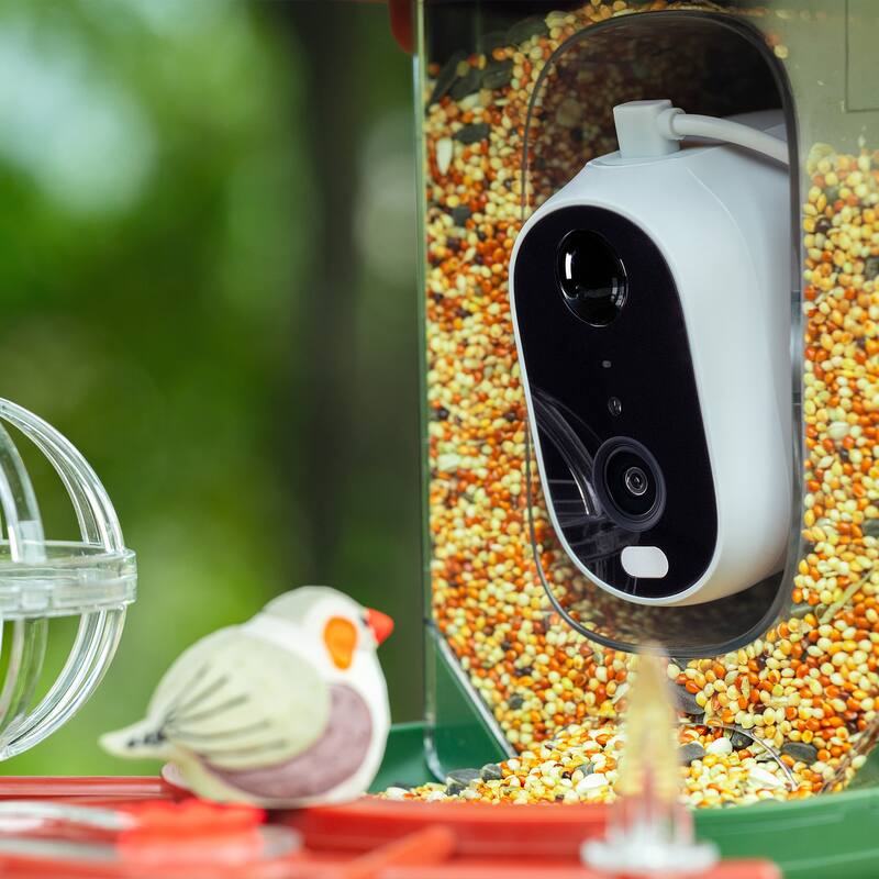 Smart Solar Bird Feeder with Camera and AI Identify Bird Species - 7.03 in. W x 7.03 in. D x 8.13 in. H