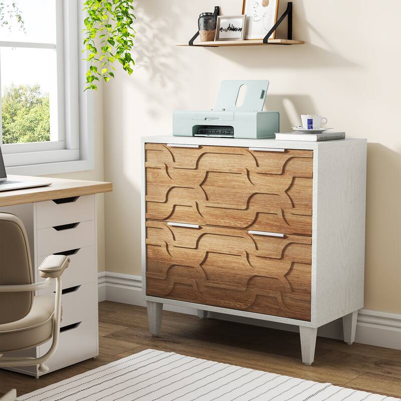 2 Drawer File Cabinet for Home Office, Filling Cabinet for A4/Letter/Legal Size