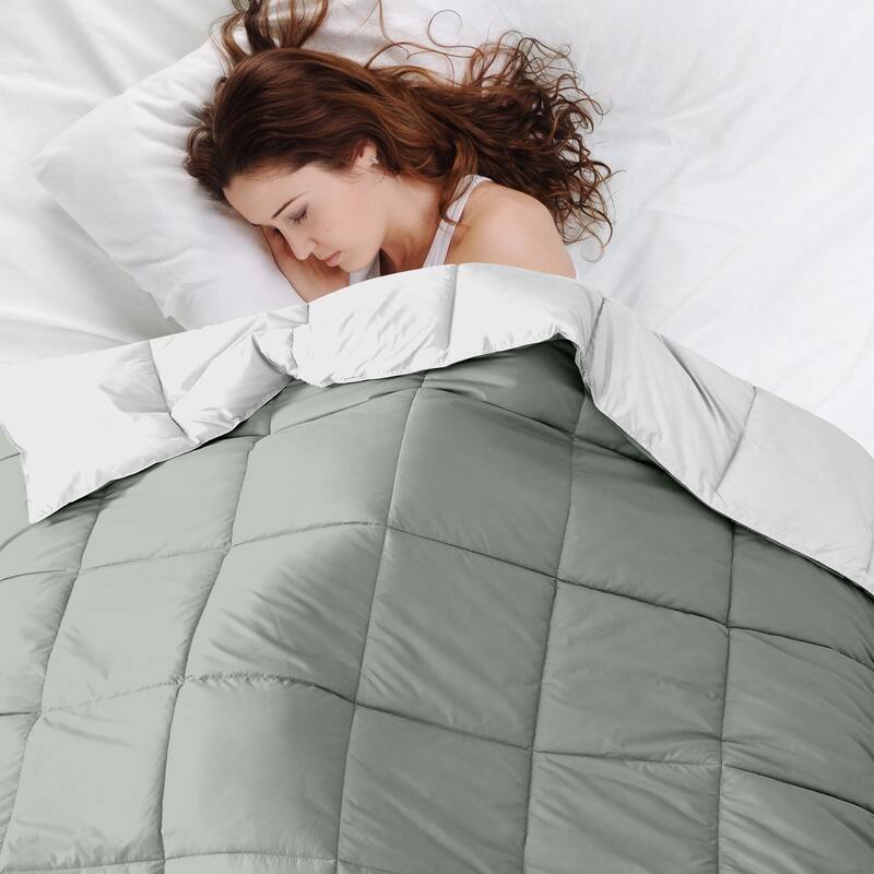 Modern Threads All-season Reversible Down Alternative Comforter