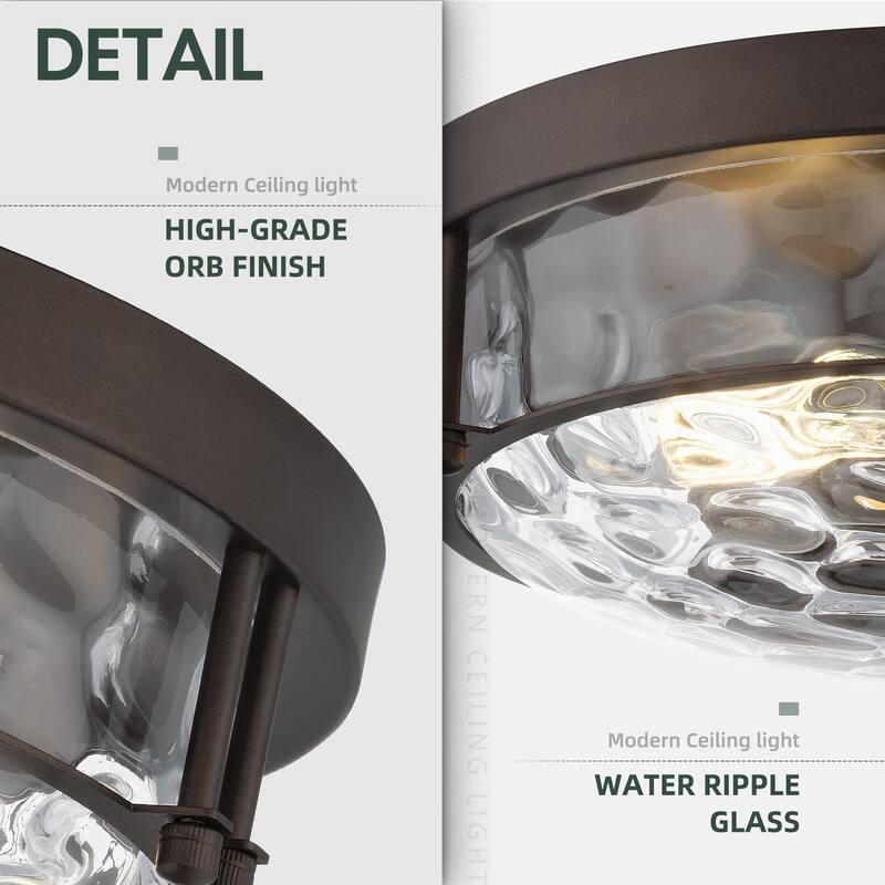 2-Light Black Glass Ceiling Light